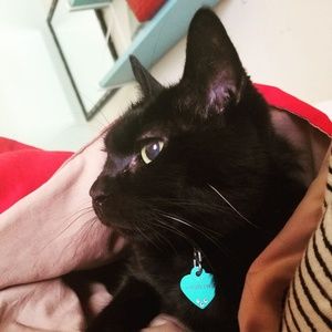 Meet your Posher, Jess